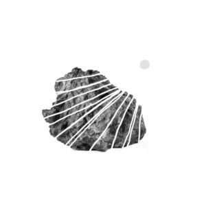 rendez-nous la lumière